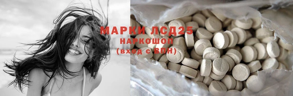 apvp Алексин