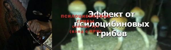 крисы Абаза