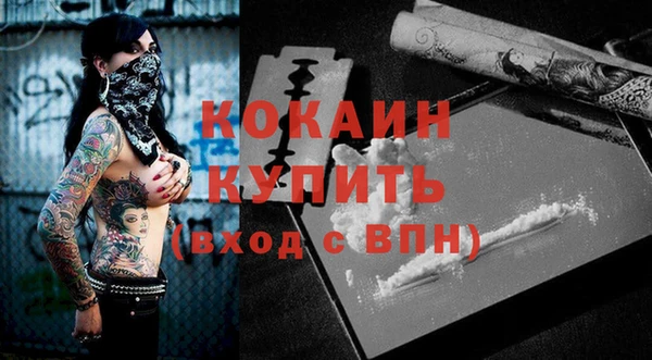 ПСИЛОЦИБИНОВЫЕ ГРИБЫ Михайлов