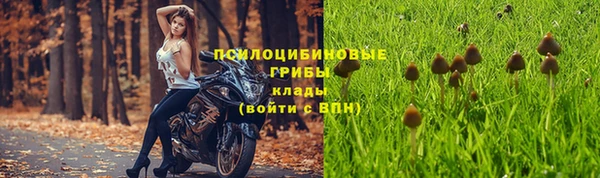 индика Михайловск