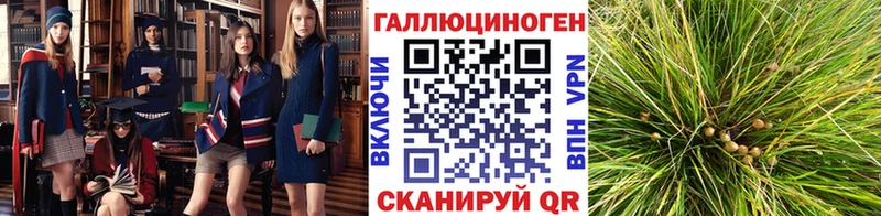 продажа наркотиков  Шиханы  Псилоцибиновые грибы MAGIC MUSHROOMS 